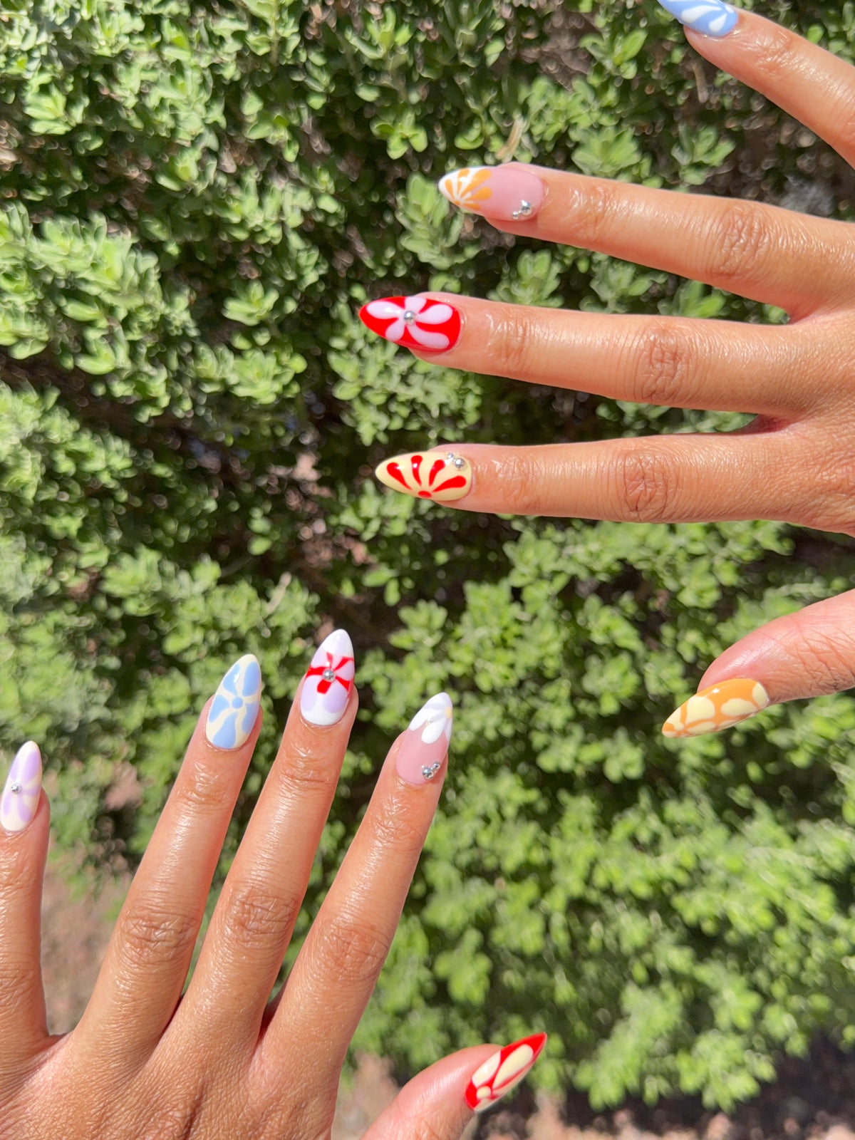 Sunday Blooms 🌸