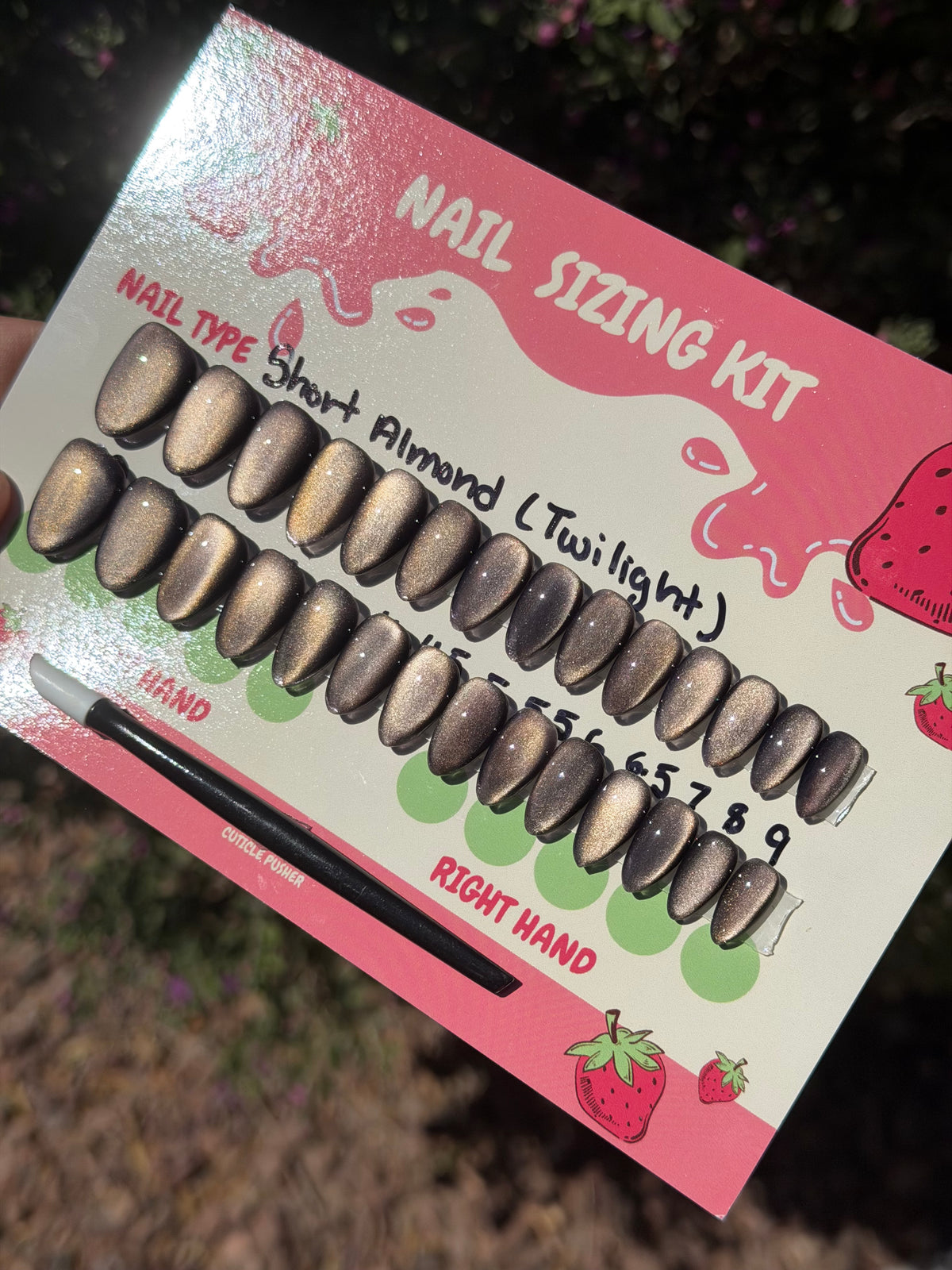 Twilight Starter Kit