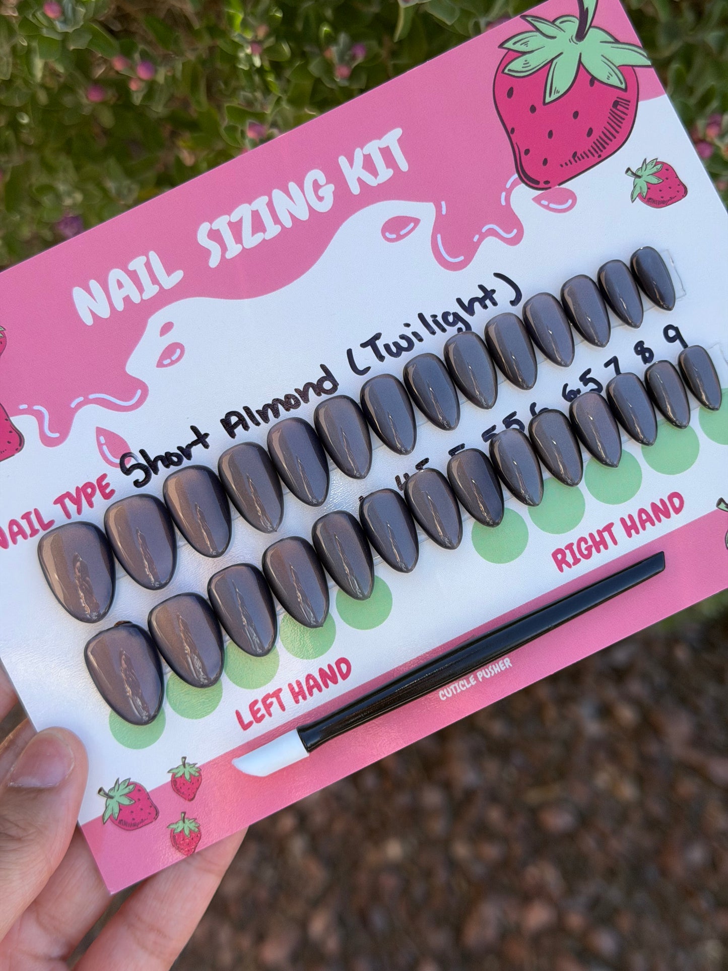 Twilight Starter Kit