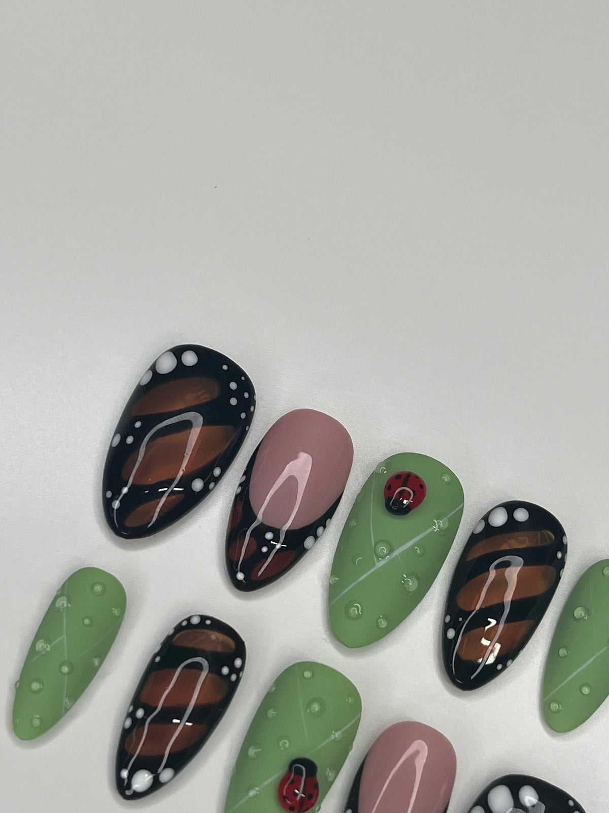 Butterfly Wings and Lady Bugs