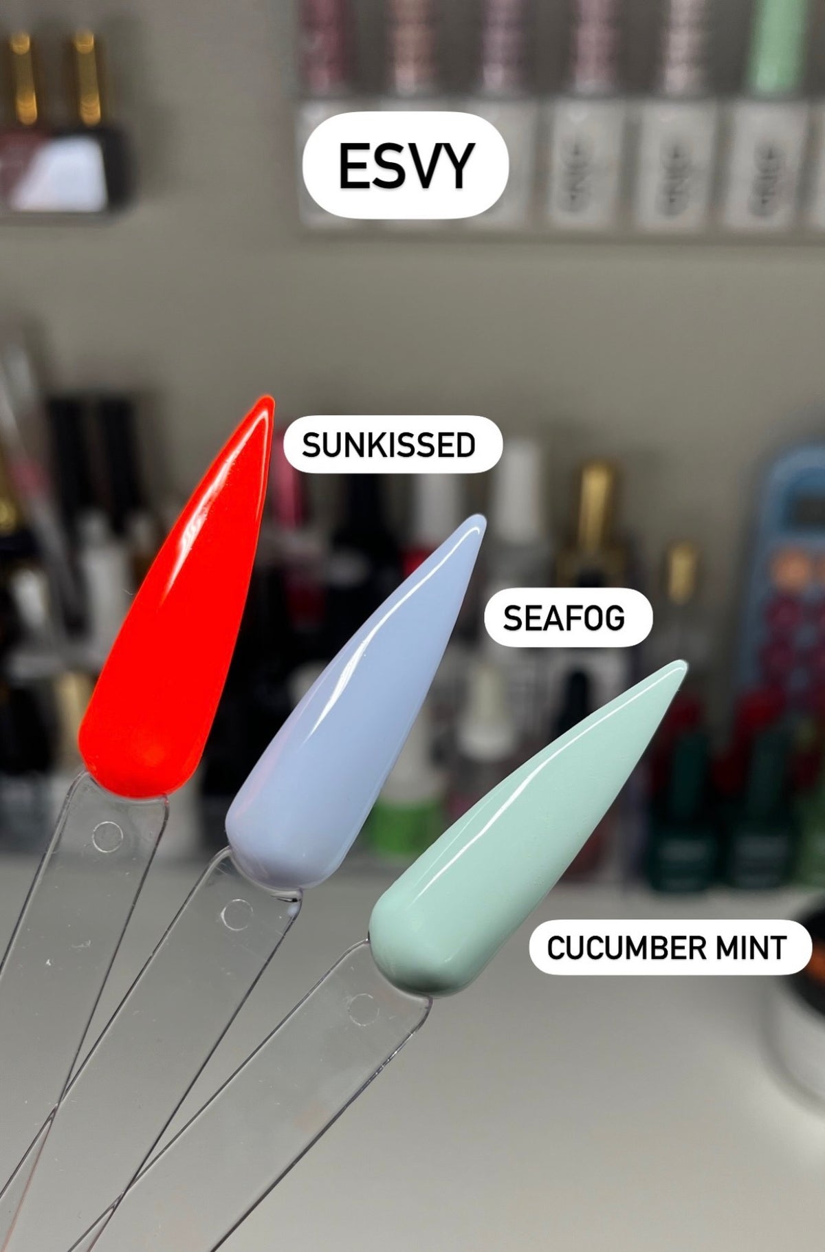 Solid Color/ Solid Color Bundles