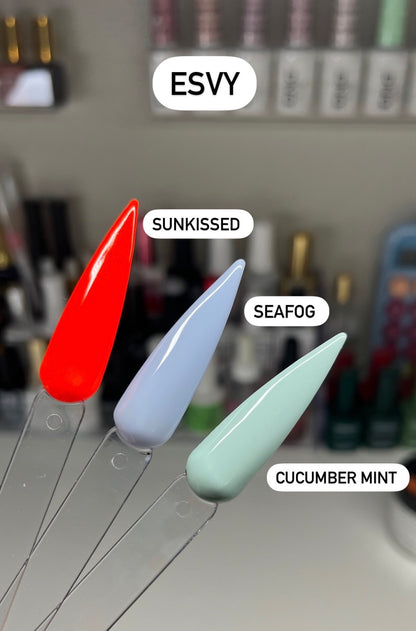 Solid Color/ Solid Color Bundles