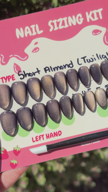 Twilight Starter Kit